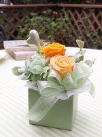 カリーナ グリーン