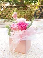 カリーナ　ピンク