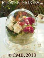 百日草の妖精のアレンジ