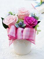 ジュネス　ピンク