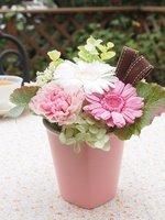 ジェルベーラ　ピンク