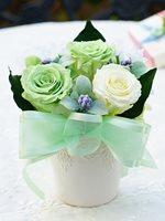 ジュネスグリーン