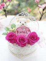 ハッピーベアー ルージュ