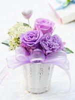 プティキュート ヴィオレ