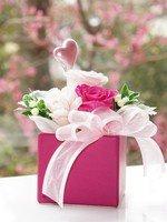 カリーナ ルージュ