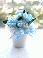 エリーゼ ブルー