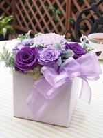 スリール ヴィオレ