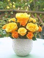 フォルトゥーナ