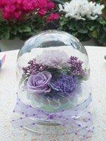 シューウイエ ヴィオレ