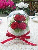 シューウイエ レッド