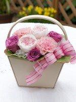 ブランエトワール