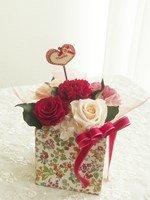 リバティ　レッド