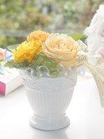 プティジョリーオレンジ