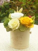 レディーバード