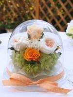 シューナチュール　オレンジ