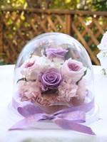 シューナチュール　ヴィオレ