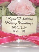 メッセージプレート(大ドーム用)