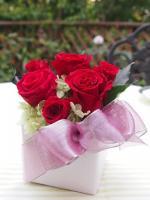 リーソ　レッド