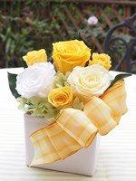 リーソ イエロー