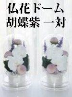 仏花ドーム 胡蝶紫 1対