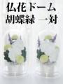 仏花ドーム 胡蝶緑 1対