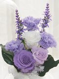 仏花ドーム 永咲 紫
