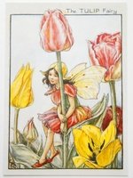 フラワーフェアリーズ　ポストカード The Tulip Fairy