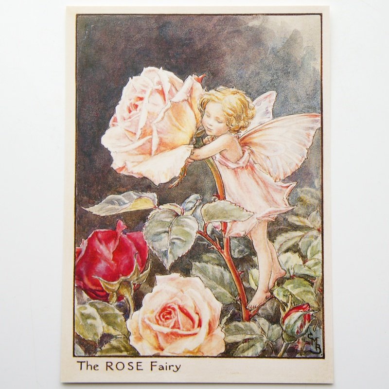 フラワーフェアリーズ　ポストカード The Rose Fairy